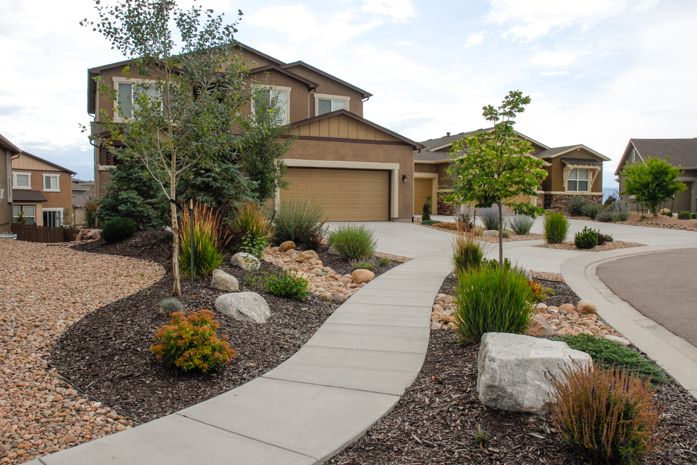 Mountain Motif Xeriscape
